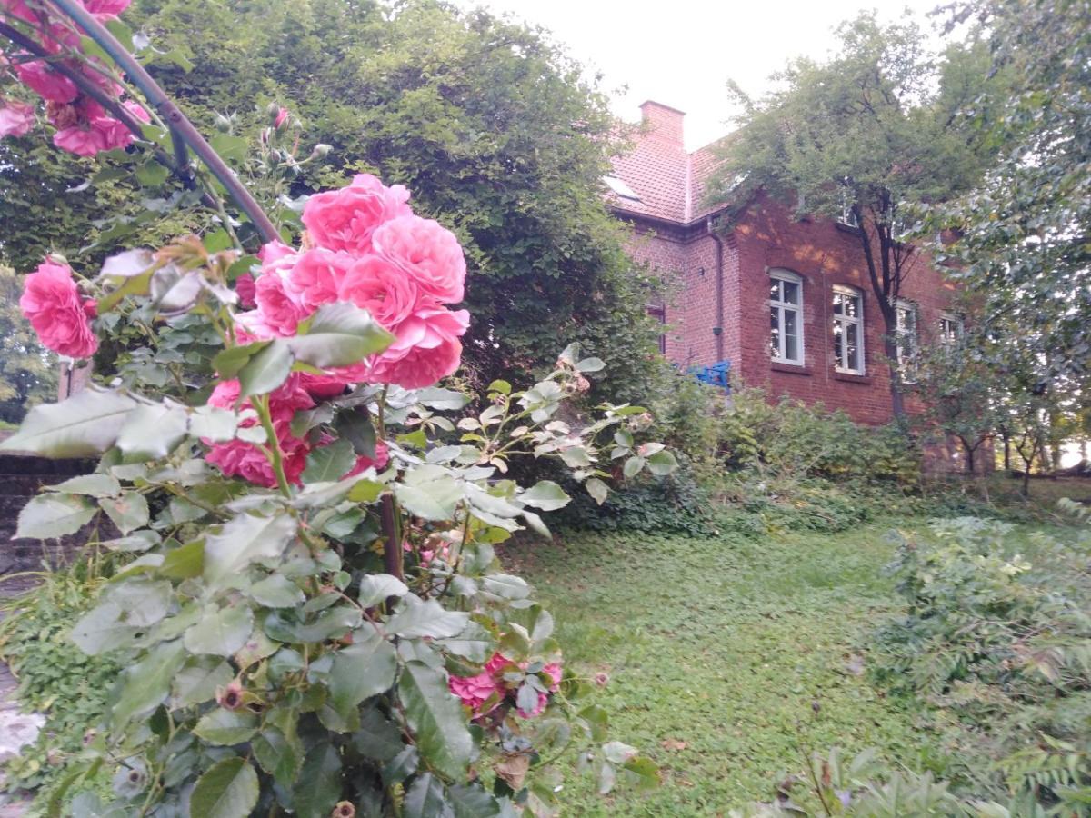 Alte Schule Am See บิสกูเปียซ ภายนอก รูปภาพ