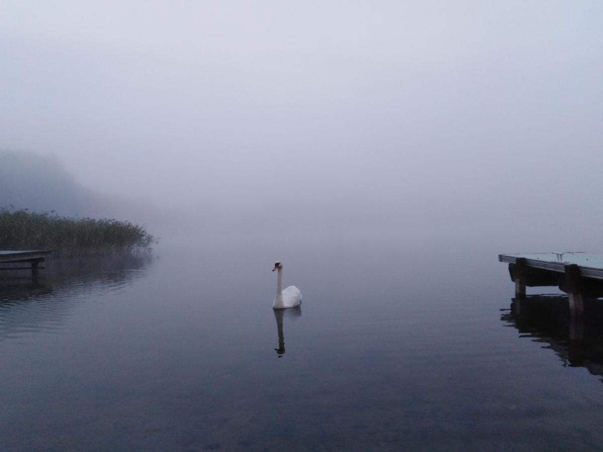 Alte Schule Am See บิสกูเปียซ ภายนอก รูปภาพ
