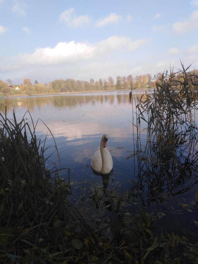 Alte Schule Am See บิสกูเปียซ ภายนอก รูปภาพ